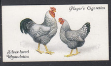 1931 John Player & Sons  POULTRY - Silver Laced  Wyandottes #48