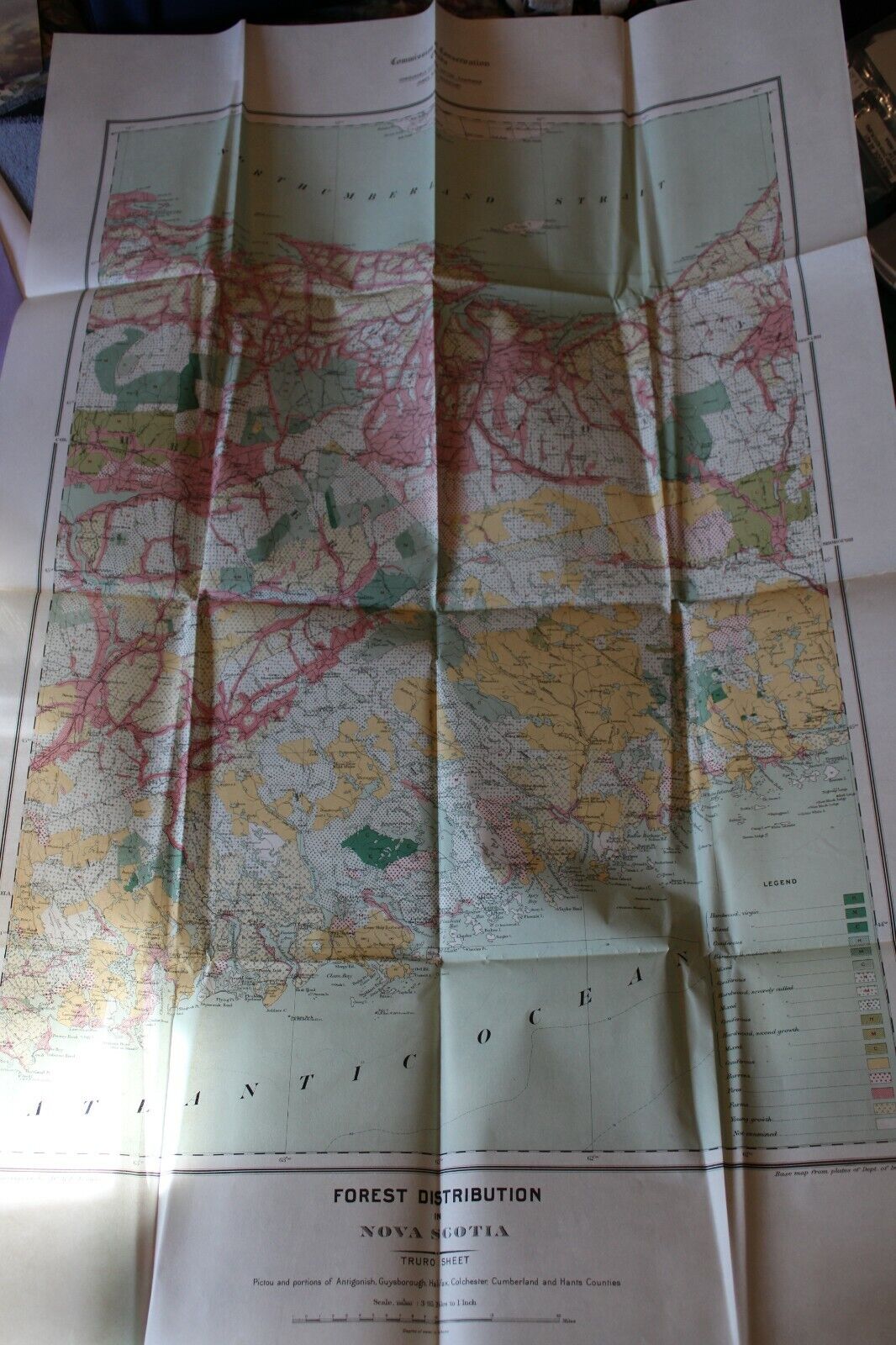 Picture 3 of 7