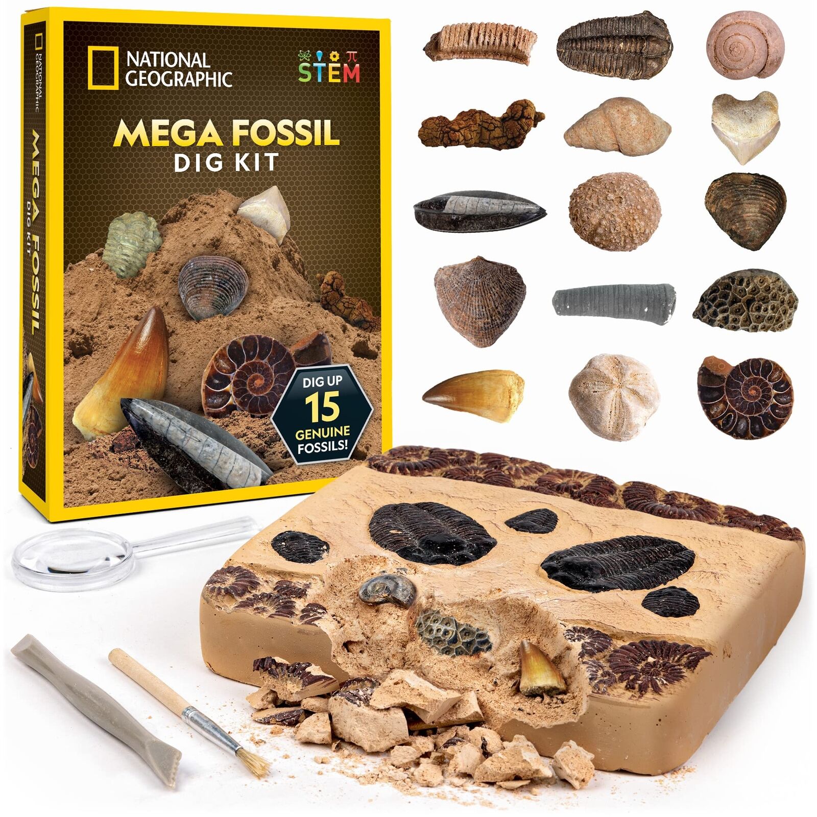 National Geographic Mega Fossil Dig Kit NGSUPERFOS for sale online