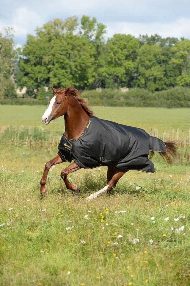 Bucas 155 Black/Gold Outdoordecke 50g Irish Turnout Light Weidedecke