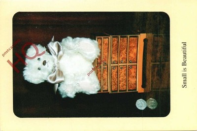 AK_ Teddybär, mit Bären im Blick, klein ist schön [P H Themen]
