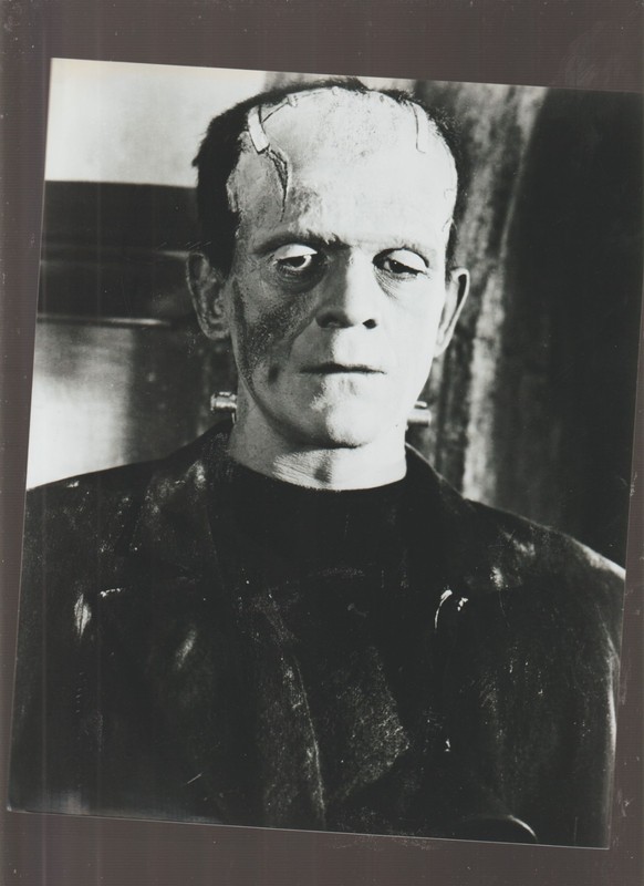 8X10 B&W   PHOTO OF-SCENE-BORIS KARLOFF AS FRANKENSTEIN