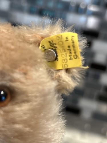 Vintage Steiff Original Teddy Bear 1959 Button & Tag 5325,02 / caramel / 9" tall - Picture 3 of 8