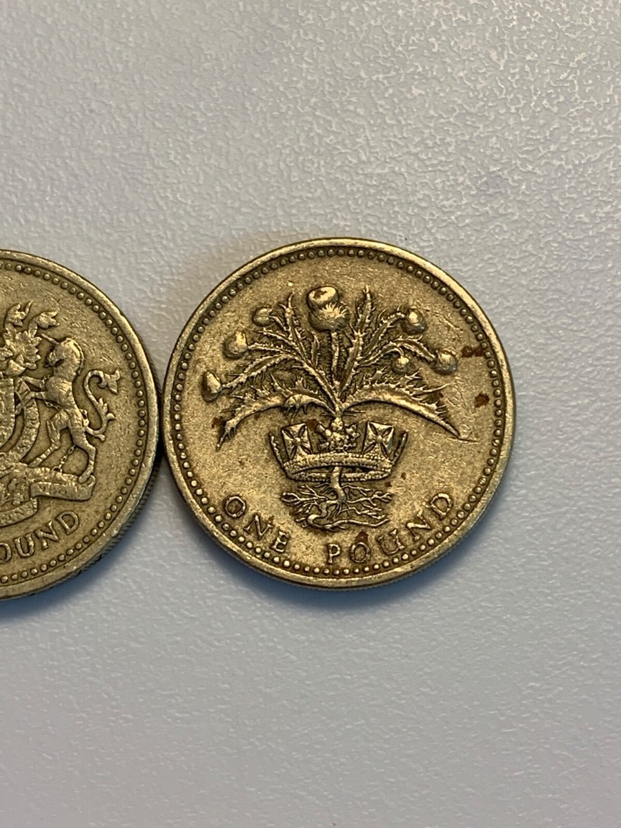 Lot of 2 1983 & 1989 1 Pound Coin DG REG FD Elizabeth II Coins