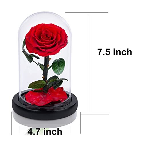 Handmade Preserved Roses in Glass Dome Valentines Day Gifts for Her Real Red - Picture 3 of 6