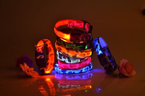 LED Glow Collar Dog Puppy Pet Flashing Light Safety Glow In The Dark FAST POST - Picture 5 of 81