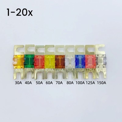 2~20 tlg Mini ANL-Sicherung 30A 40A 50A 60A 70A 80A 100A 125A 150A Vergoldet KFZ