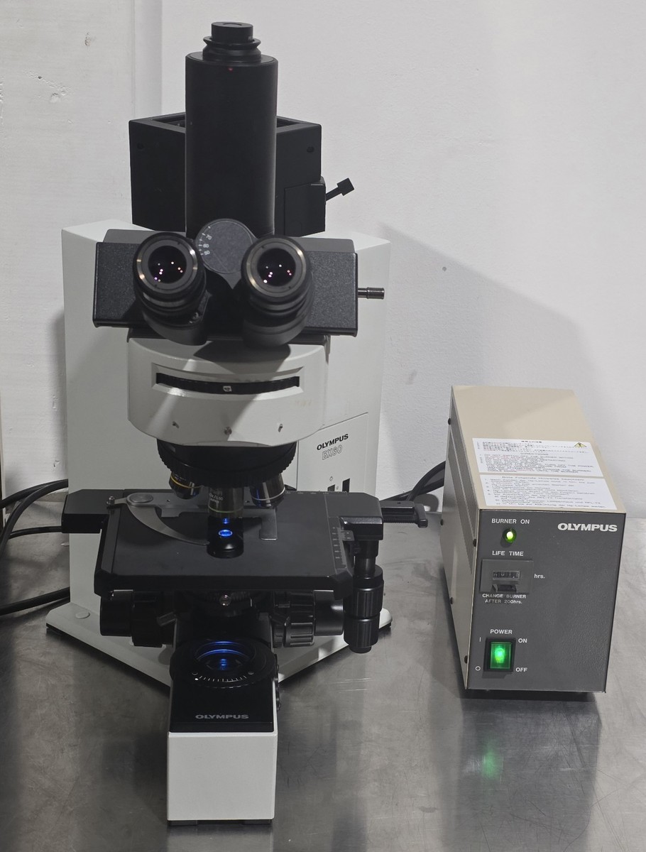 Olympus BX60 BX60F5 Fluorescence Microscope | eBay