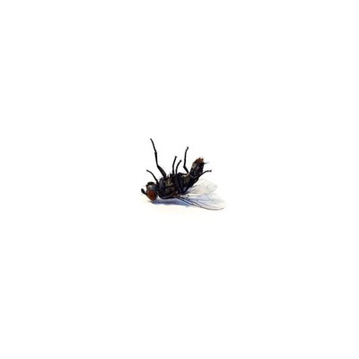Grocer Bless Me (Vinyl) (US IMPORT)