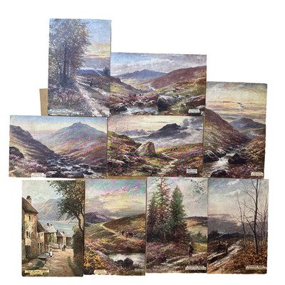9 Ansichtskarten Postkarten Devon Dartmoor England UK Tucks Künstlerkarte 1909