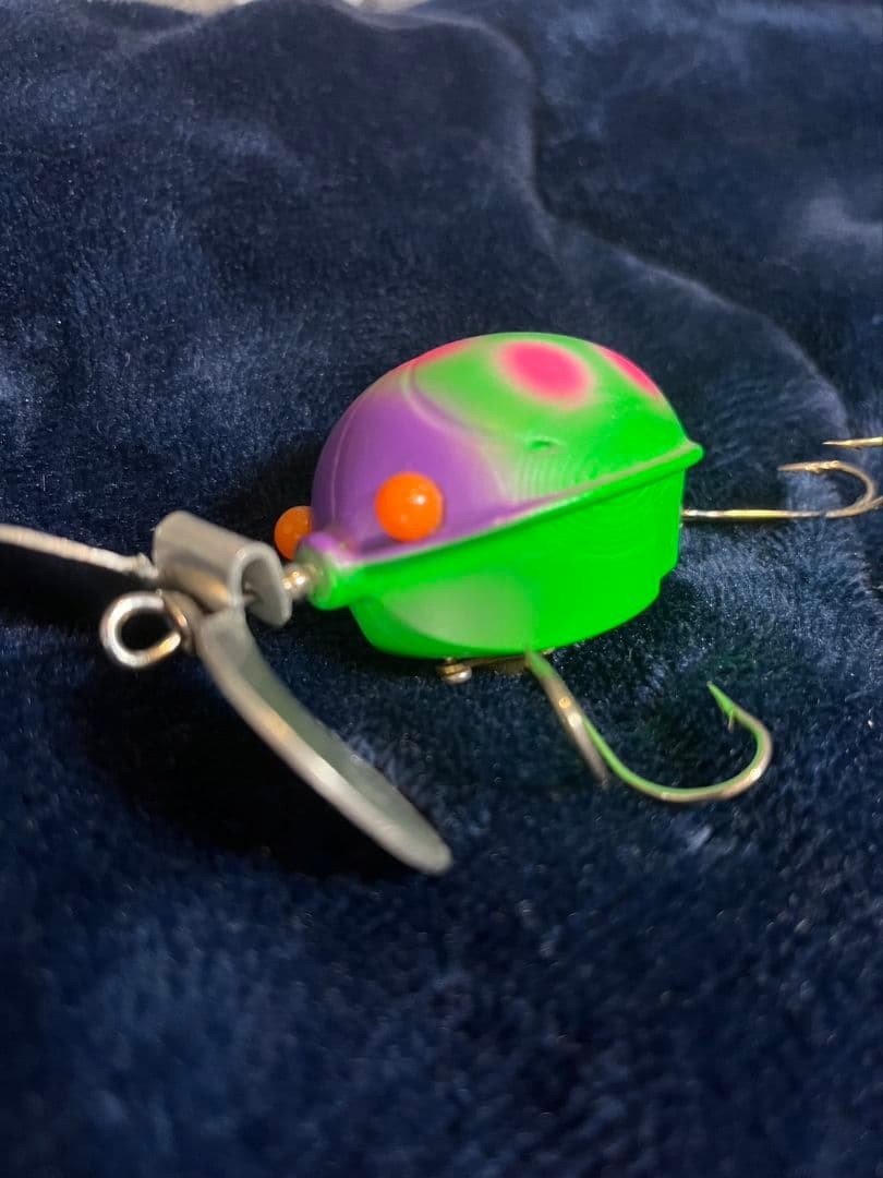 Frog s Ladybug - Image 9