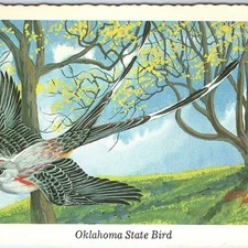 1968 OK Oklahoma Bird Scissor-Tailed Flycatcher Tree Ken Haag Painting Art A335