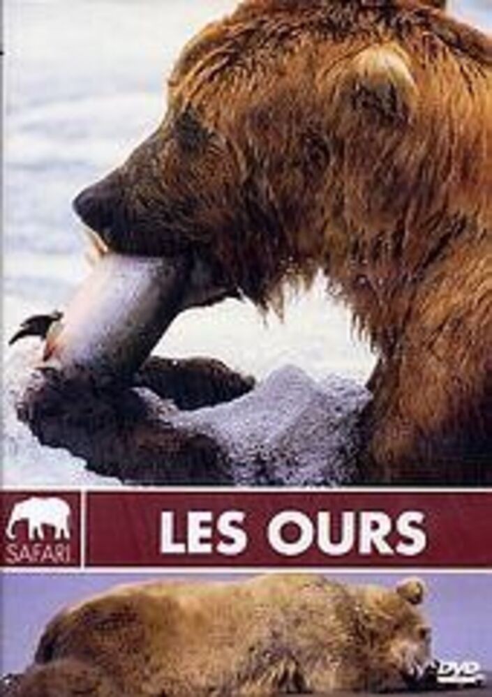 Bears - New In Blister | Safari | New