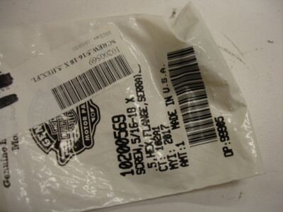 のん Harley Davidson Motorcycle Part 5/16