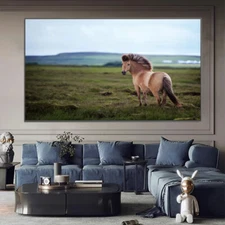 Horse Animal Landscape Canvas Painting Poster Living Room Home Decor