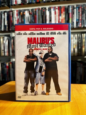 MALIBU'S MOST WANTED - Rapimento a Malibu (2003) DVD OTTIME CONDIZIONI