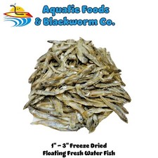 5-lbs 1"- 3" Fresh Water Fish --- Freeze Dried for Large Fish, Turtles, Reptiles