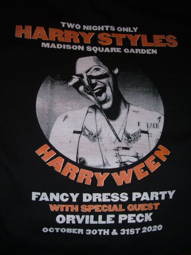 Harry Styles 2020 Hoodie HARRYWEEN Madison Square Garden Trick or Treat Sz S