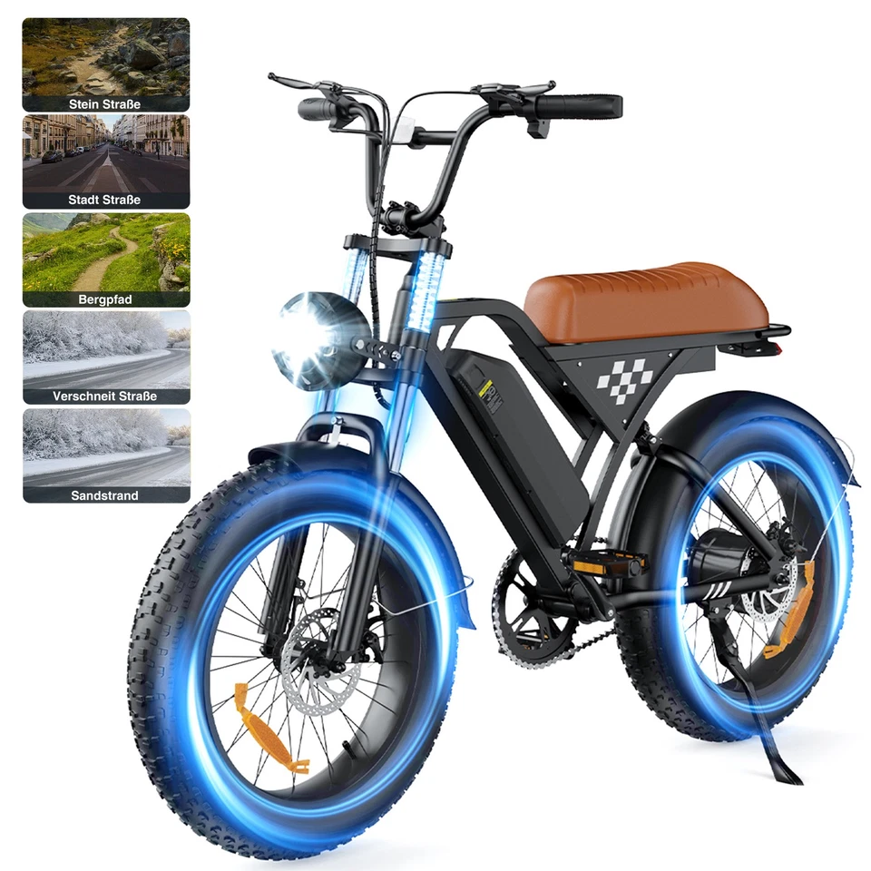 20" 250W Power E-Bike Fatbike Doppel-Sitz Elektrofahrrad Multifunktion