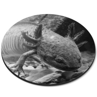 Runde Mausmatte (bw) - Axolotl Salamander Echse Mexikanisch #37524