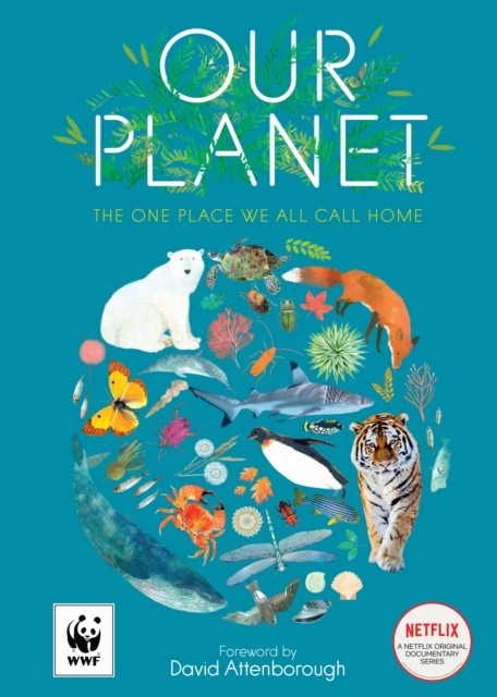 Our Planet The One Place We All Call Home by Matt Whyman (Paperback Book)