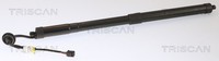 Heckklappen DäMpfer Gasfeder Kofferraum Triscan 8710 27309 FüR Volvo XC40 536