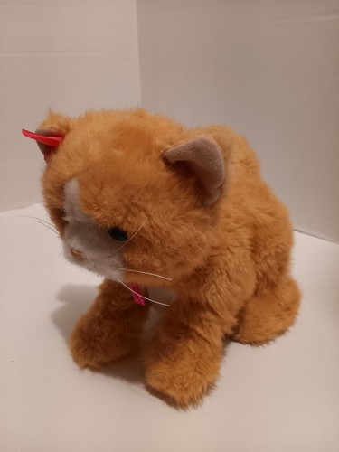 FurReal Friends STOKROTKA Plays With Me Kitty Kotek Pomarańczowy kot Interaktywne zwierzę domowe - Zdjęcie 2 z 6
