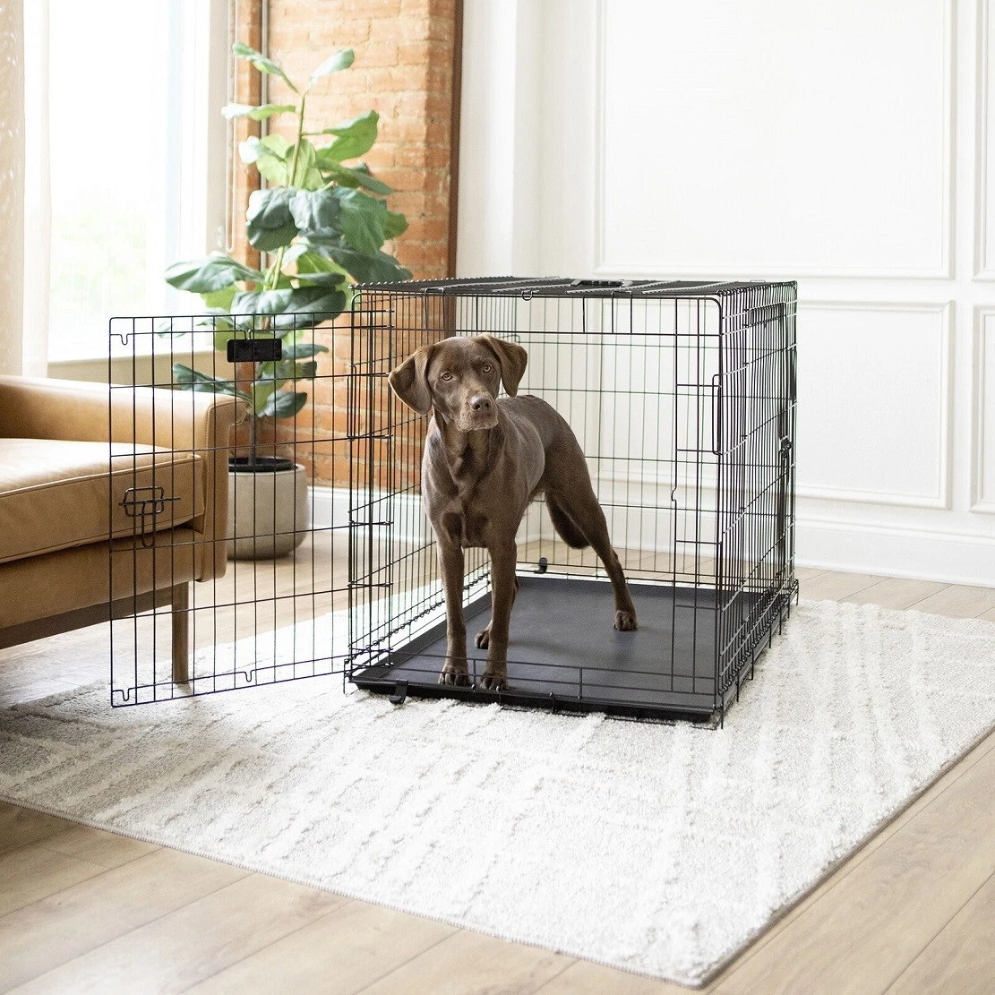Double-Door Foldable Metal Wire Dog Crate and Tray, Large, 36 Deep x 24 H x  22W | eBay