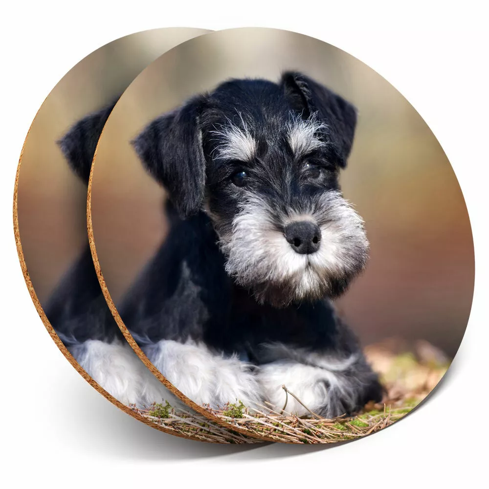 Schnauzer coasters cheap