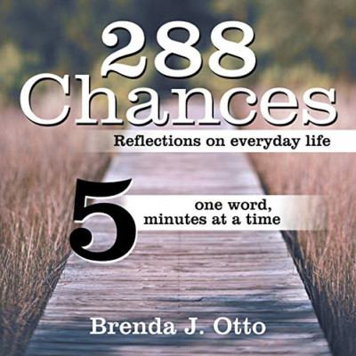 288 Chances: Reflections on Everyday Life, One Word, Fi -  NEW Brenda J Otto 201