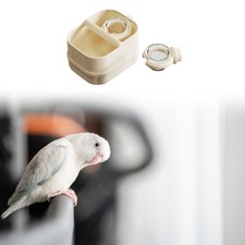 Avians Training Perch Feeding Station for Sanitary Habits Potty Training Stand