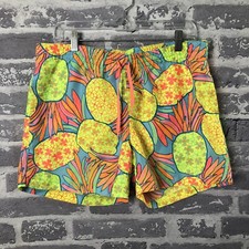 Chubbies Swim Trunks Shorts Men Small 5" Inseam Pineapples Colorful Neon USA
