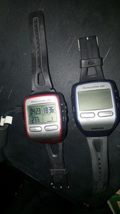 garmin forerunner 305 gps