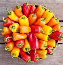 Pepper Picnic Mix  100 seeds