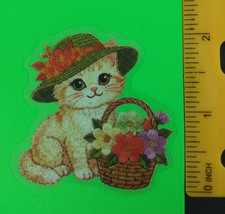 Cat Adorable Animal Transparent Sticker AS