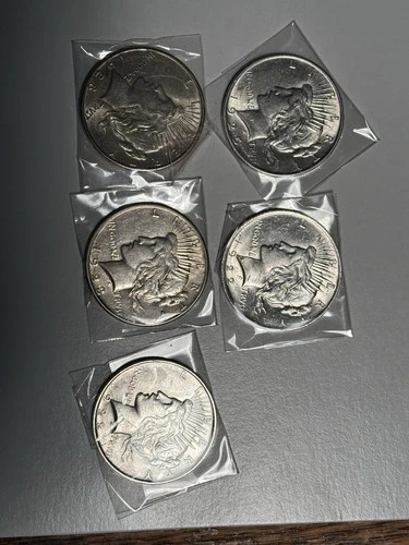 Lot of 5 silver peace dollars (2)1922 (2) 1923s (1) 1925