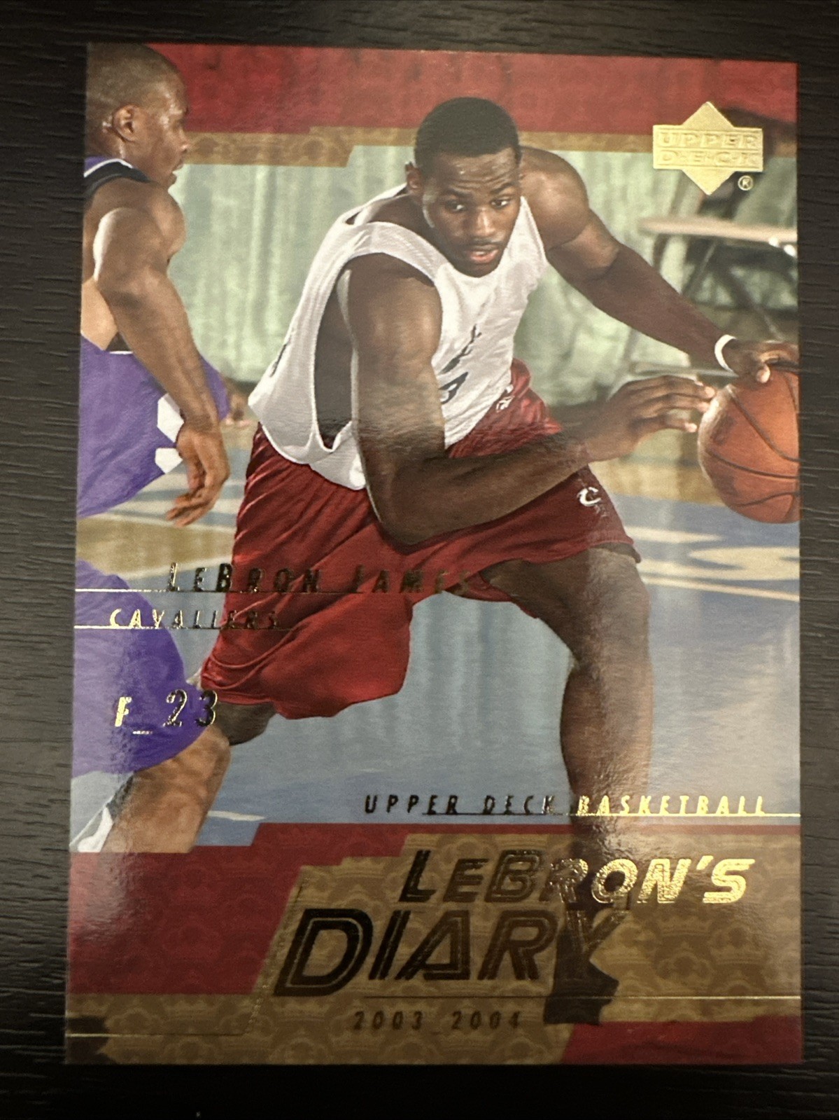 2003-2004 Upper Deck LeBron James Diary Rookie Card LJ6 Cleveland Cavaliers NBA