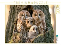 Calvendo Puzzle Wisdom Of The Night | 2000 Pieces, Finished Size 35.4 × 26.4 In