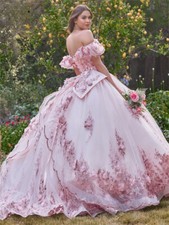 Pink Quinceanera Dresses Birthday Tulle Ball Gown 3D Flower Applique Sweet 16