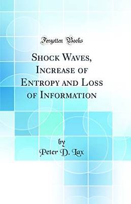 Shock Waves, Increase of Entropy and Loss of Infor