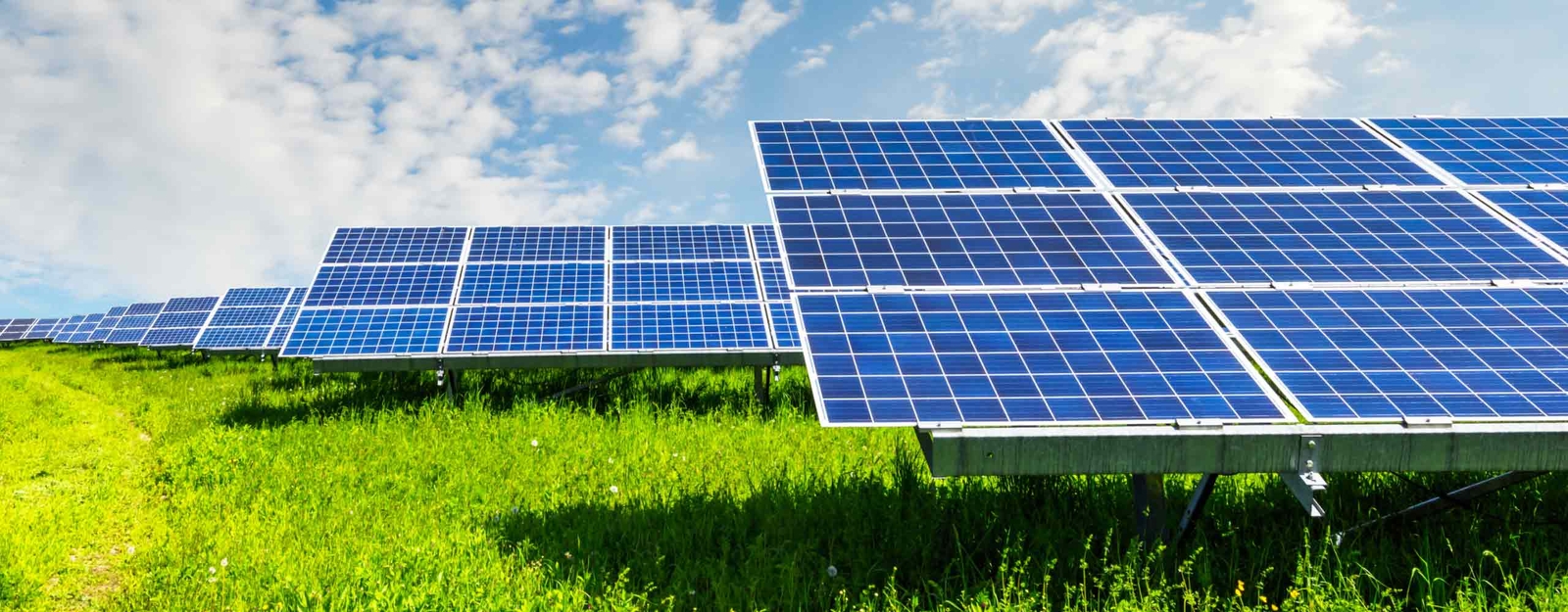 Solaranlagen auf einer grünen Wiese unter blauem Himmel