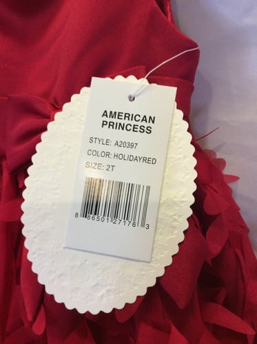 American Princess A Line Dress Girls Size 2T Holiday Red Flora Sleeveless Lined