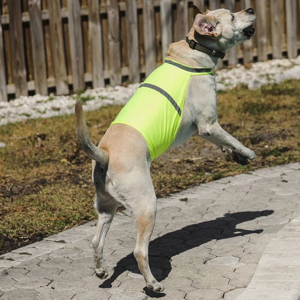 Chaleco Reflectante de Seguridad Personalizado para Caminar Perros Ajustable K-9 Alta Visibilidad Foto 4 de 4