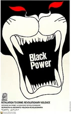 Political POSTER.BLACK POWER.Civil Rights.Black Panther REvolution Art.am22