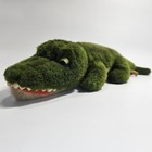 Foto 17 di 24