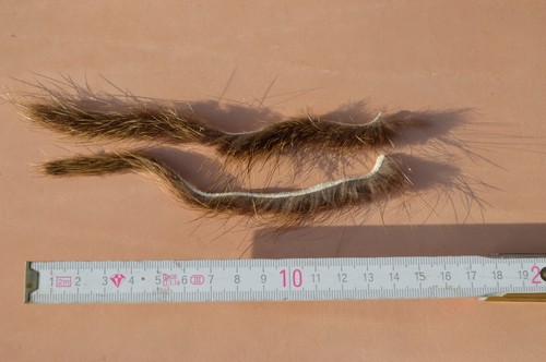 Bowstring Silencer Cat Whiskers Nutria Hair brown - Picture 2 of 3