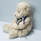 Bild 4 von 12