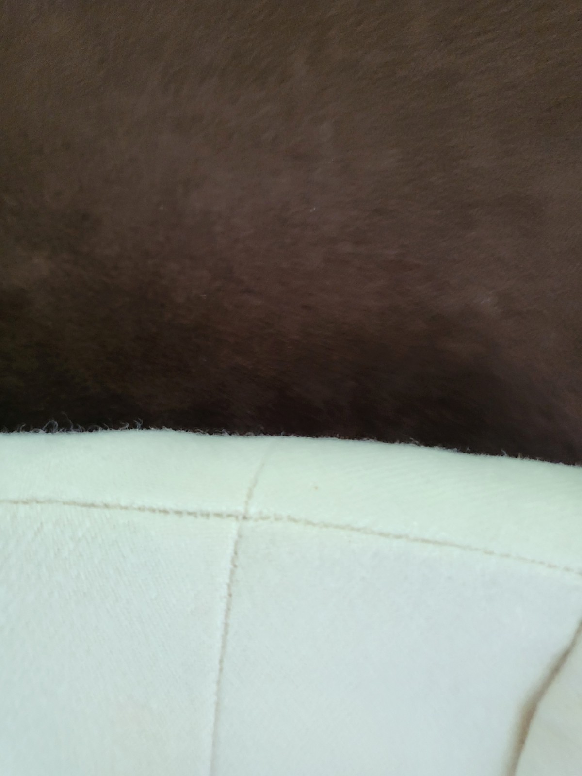 Bild 11 von 17