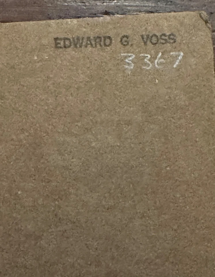 Monograph of the Isoetaceae Norma Pfeiffer ORIGINAL Mo Bot Gard Isoetes Quillwor - Image 2 of 4