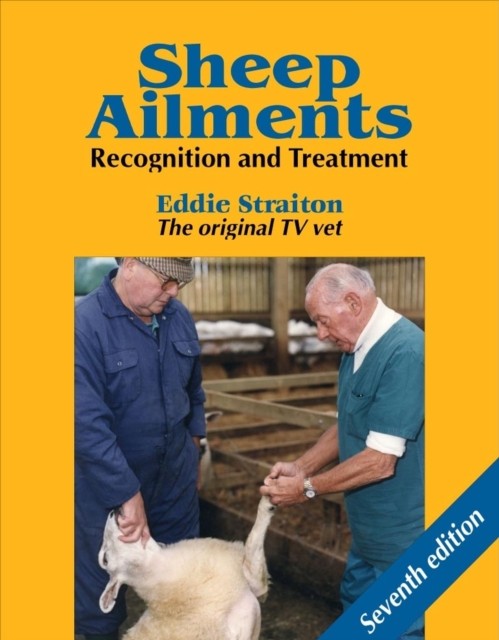Sheep Ailments Recognition and Treatment by Eddie Straiton (Hardback Book)